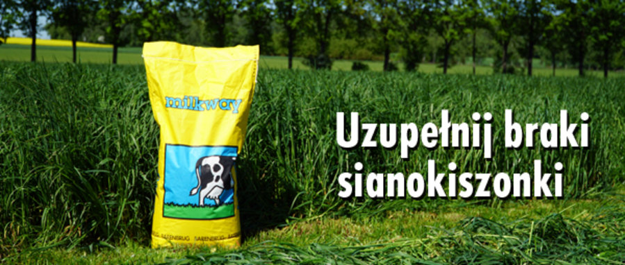 newsleter - uzupelnij braki_1.jpg